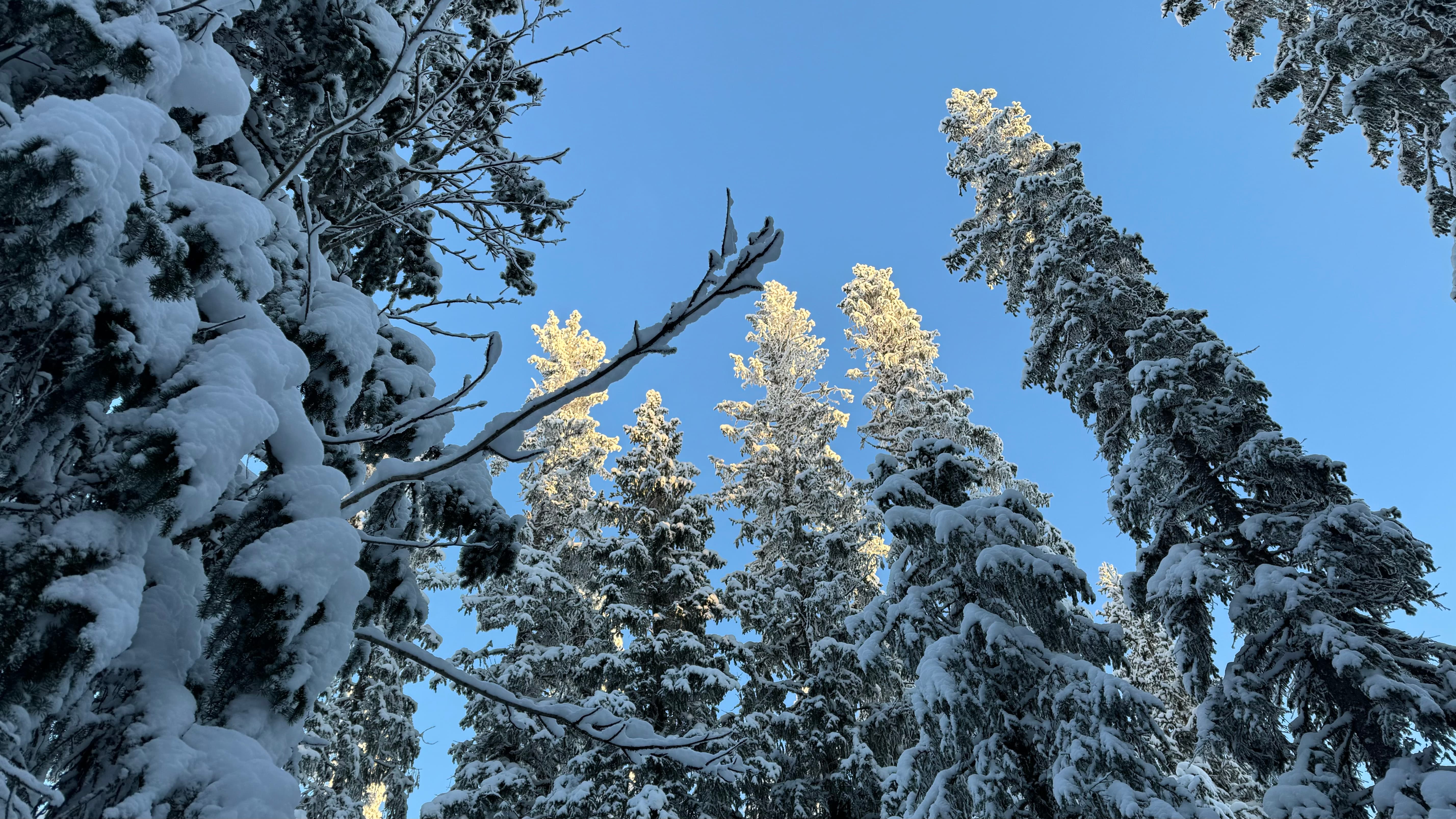 A sunny winter day